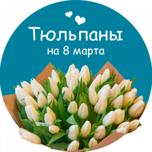Купить тюльпаны в Голицыно